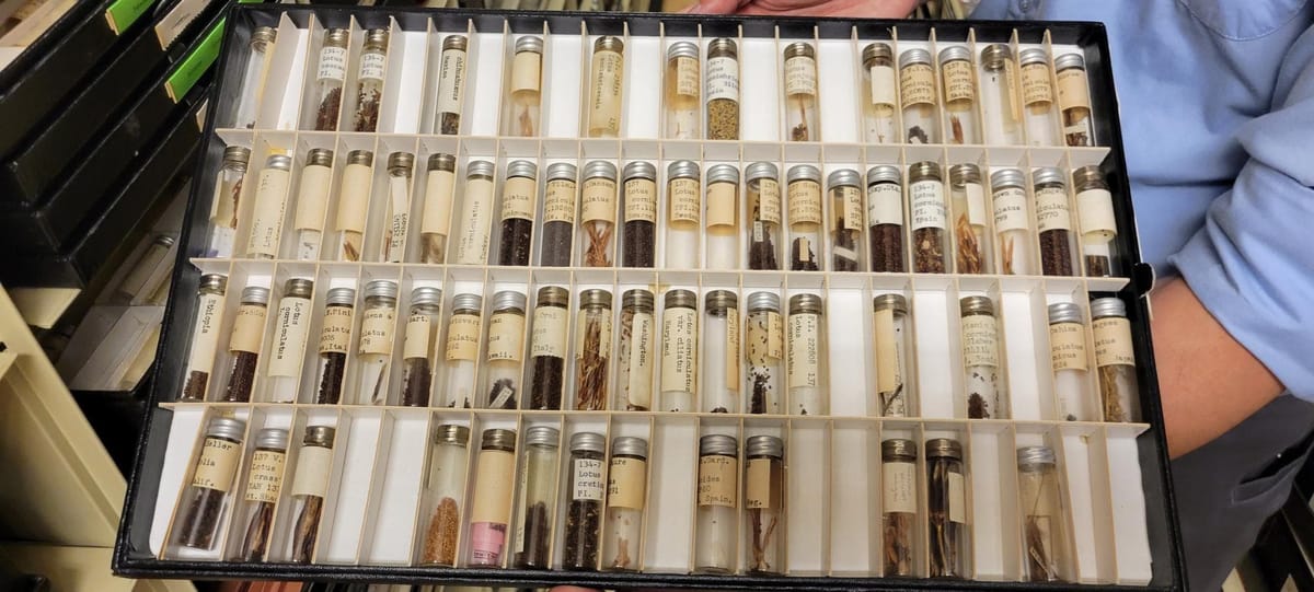 Working visit to USDA National Arboretum Herbarium